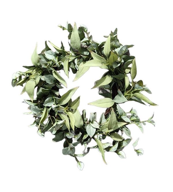 55CM EUCALYPTUS WREATH GREEN